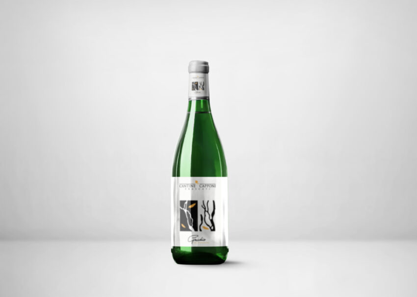 Download Free Beer Bottle Bag Mockup