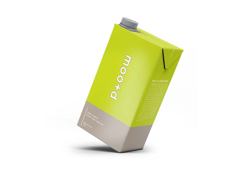Free Real Juice Carton Mockup Free Real Juice Carton Mockup