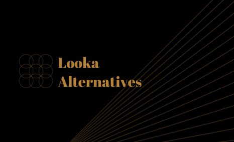 Looka Alternatives