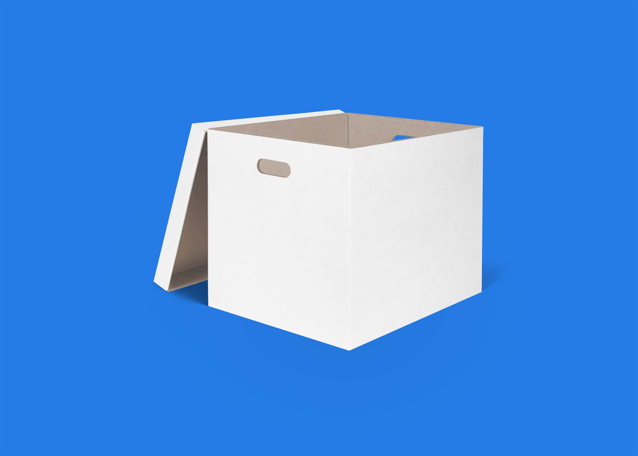 Free Square Packet Box Mockup