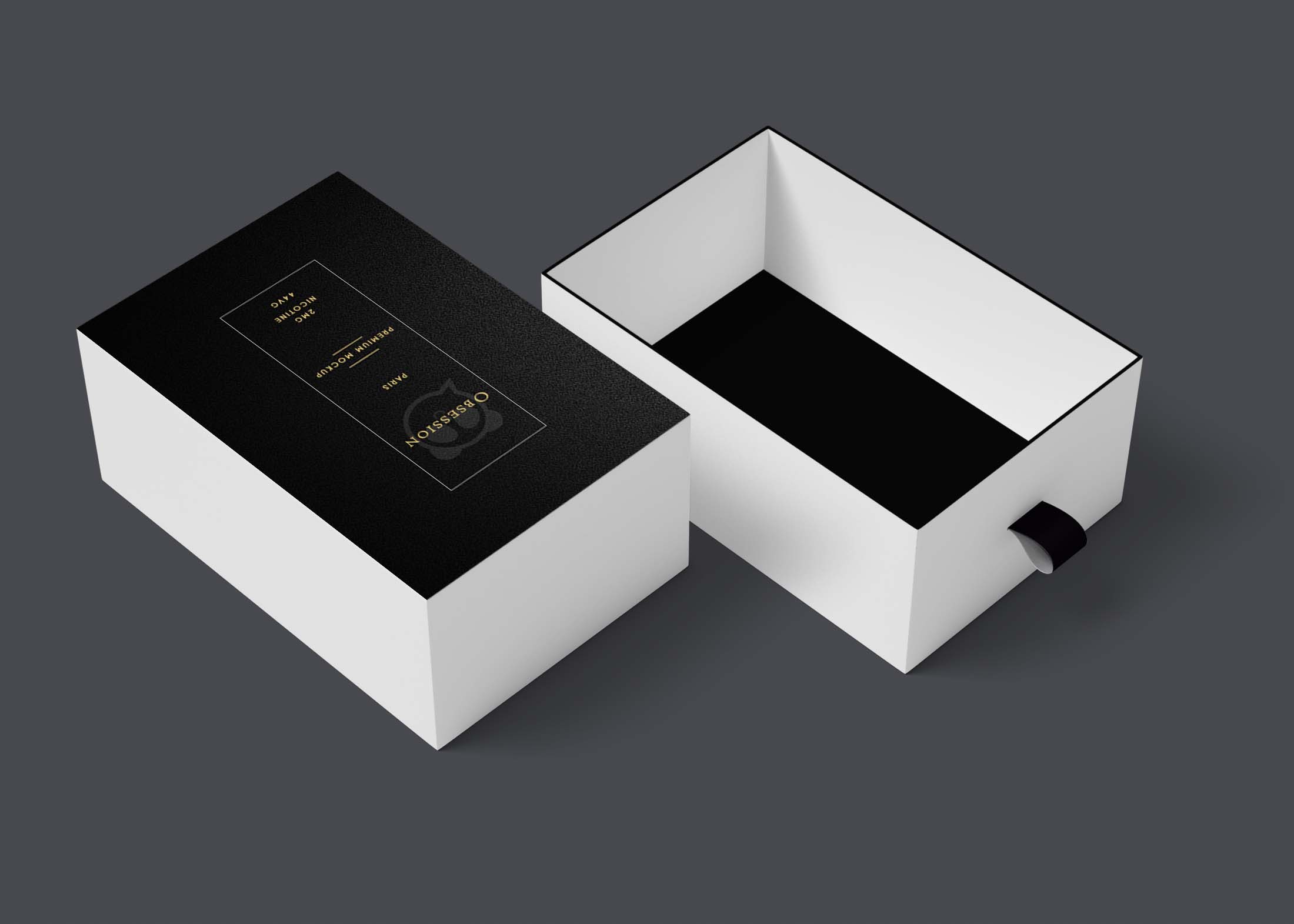 Free Shoe Box Mockup