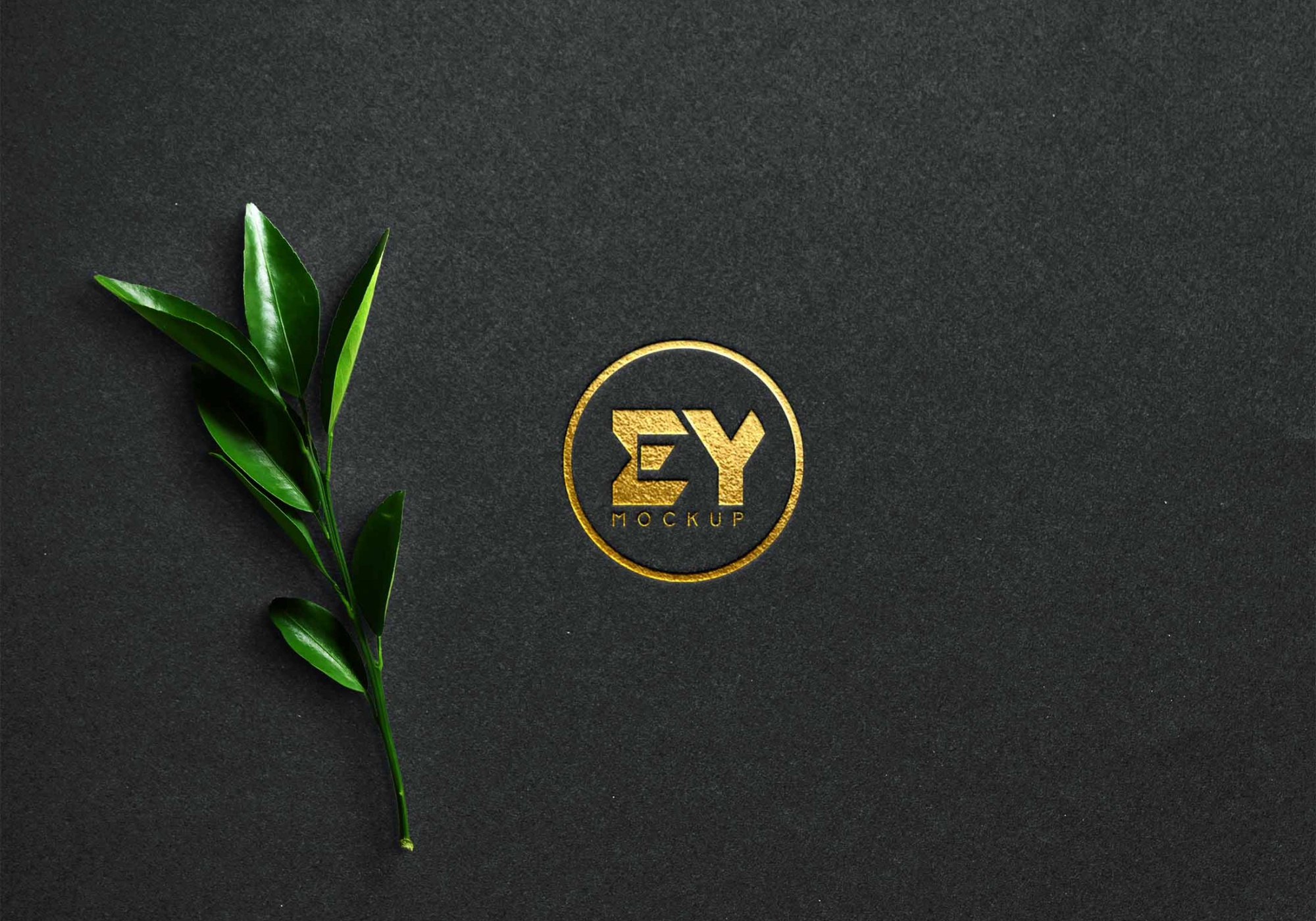Elegant Logo Mockup for Branding Luxury Logo Mockup 4