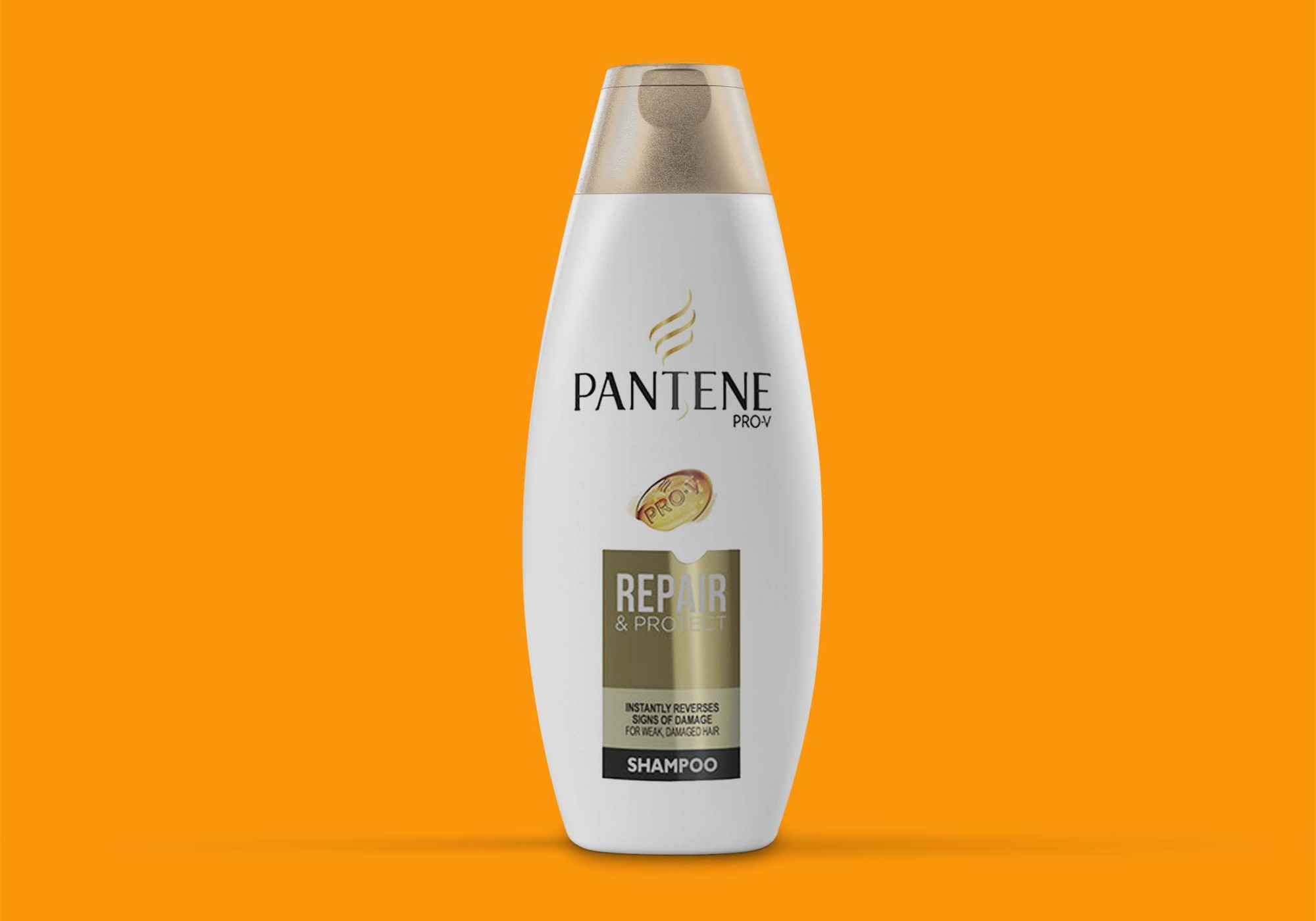 Downloadable Shampoo Bottle Mockups for Designers Shampoo Bottle Mockups 4