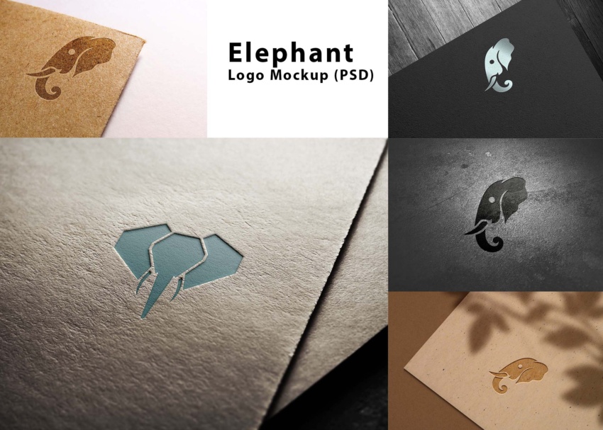 Elephant Logo Mockup PSD 5 1