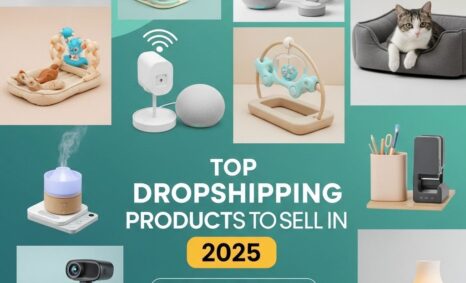 top dropshipping products 2025